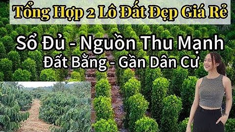 Sốc ! Cần Bán 2 Lô Đất Vườn Đắk Nông – Giá Rẻ, Nguồn Thu Ổn Định!