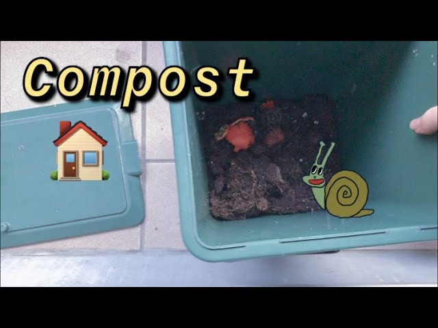 Faire un compost en appartement ! – AnnikaPanika