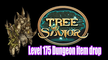 【Tree of Savior 】Level 175 Dungeon Item drop -  Thorny Vines Forest Dungeon