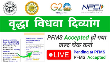 UP Pension Pending at PFMS | Old Age Pension | UP Pension 2025 | UP Pension Reverification Pending