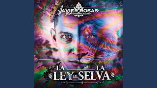 Video thumbnail of "Javier Rosas Y Su Artillería Pesada - El Mandamás"