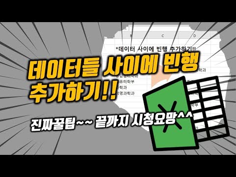 데이터들 사이사이에 행 추가하는 꿀팁소개!!