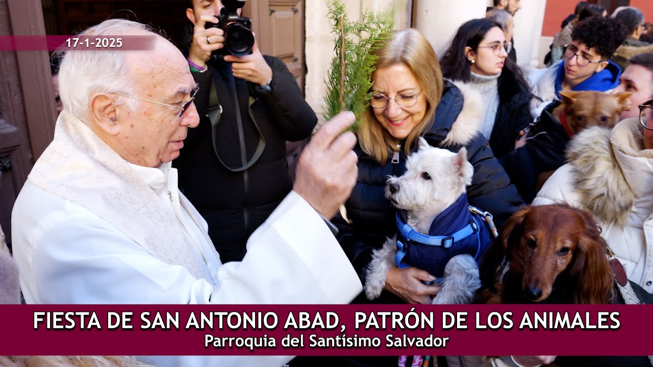 Fiesta San Antonio Abad 2025 y bendición de animales