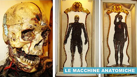 Quali sono le parti anatomiche?