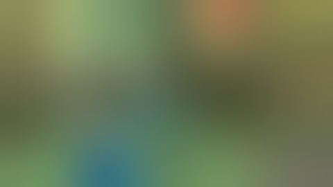 thirteen FUCKING platforms