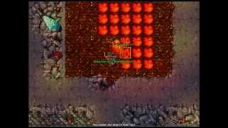 Royal Paladin level 31 - Arena Svargrond Scrapper Completa - Tibia