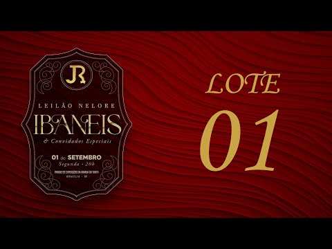 LOTE 01   HRO 5113
