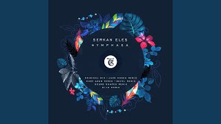 Download Lagu Nymphaea (Kurt Adam Remix) MP3