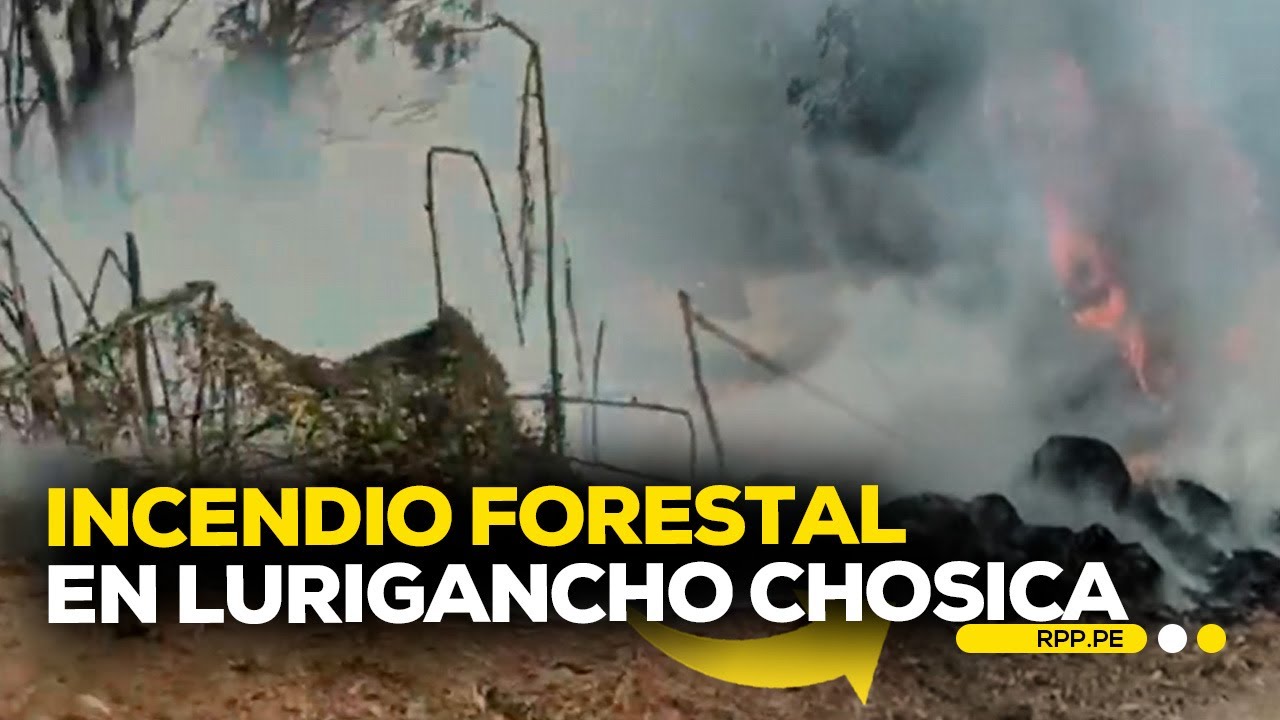 Incendio forestal se reporta en Lurigancho Chosica #CONEXIONRPP ...