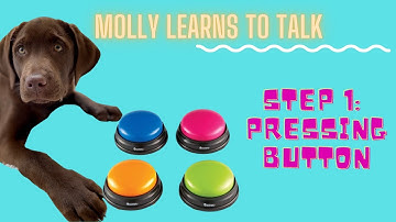 Molly Learns To Talk! Step 1: Teaching 10 week old puppy how to press the button