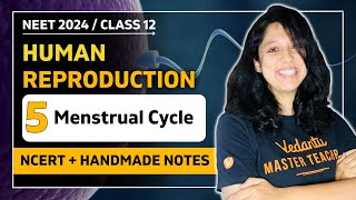 Menstrual Cycle | Human Reproduction | CBSE Class 12 Biology 🎯 | VEER NEET Batch 2024👩🏻‍⚕️