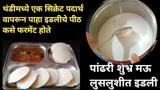 कापसासारखे मऊ लुसलुशीत जाळीदार इडली सांबर,इडली रेसिपी मराठी, पांढरी शुभ्र इडली रेसिपी मराठी screenshot 1