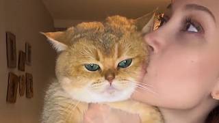 She Got The Diagnosis On A Tuesday On Thursday, A Golden Kitten Changed Her Entire Life