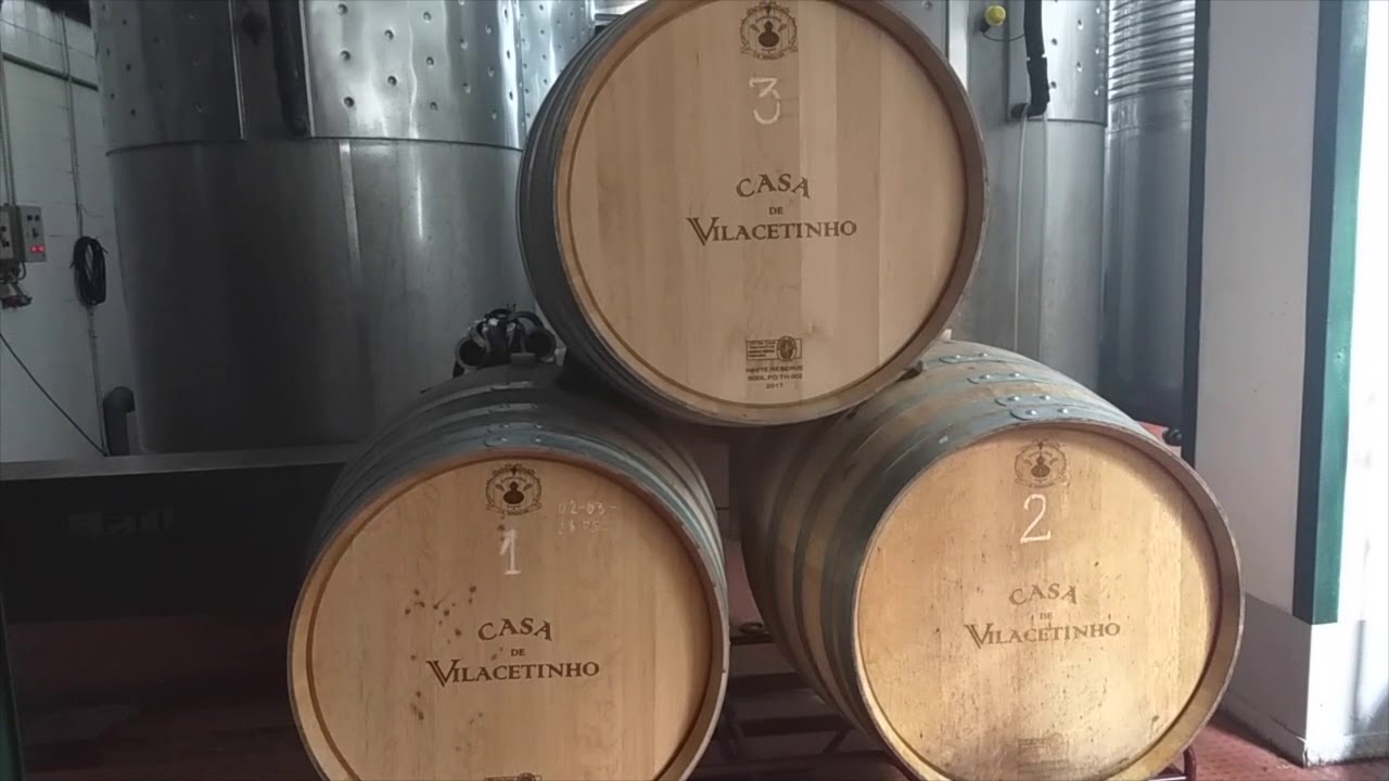 Casa de Vilacetinho -Enoturismo- Visite Comigo