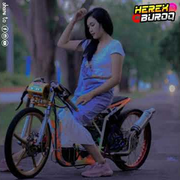Story wa drag bike matic || story wa herex || status wa racing cewek cantik