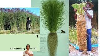 Lesson 8: Erosion control, how to protect soil from heavy rain