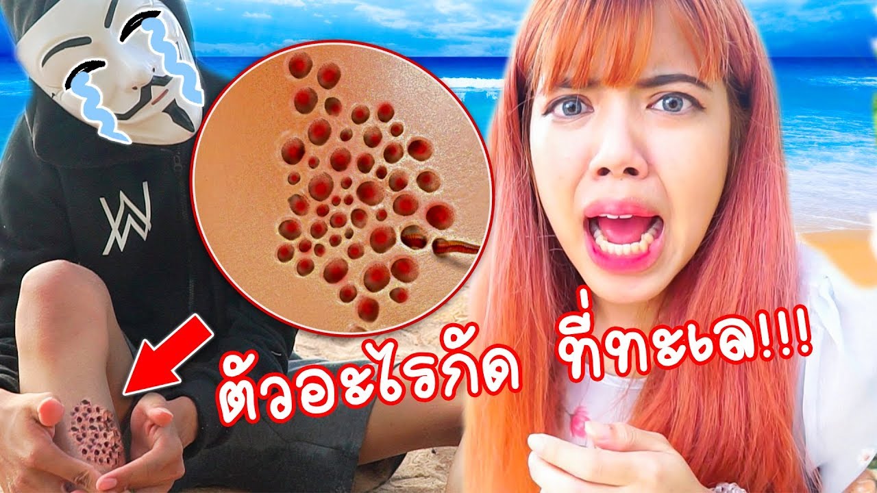 ตัวอะไรกัด ? ที่ทะเลจะรอดมั้ย ! วิธีเอาตัวรอดเมื่อติดเกาะ | แพนด้ากุ๊กกุ๊ก