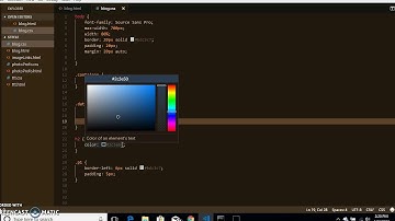 Colt Steele Blog Project (Part 4)