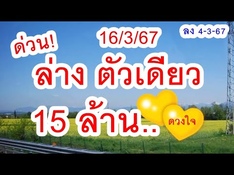 ด่วน! ล่าง ตัว เดียว 15 ล้า น   16/3/67