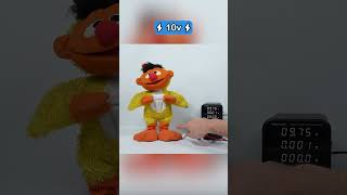 Toys Under High Voltage - Chicken Dance Earnie Fisher Price 2000-2010