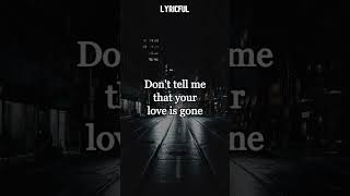 Don't tell me that your love is gone #lyrics #slander #acoustic