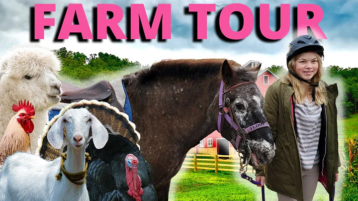 FARM & STABLE TOUR! last horseback riding lesson b...