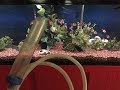 HOW TO SIPHON your aquarium TUTORIAL!  Cleaning your fish tank... WITHOUT using your MOUTH!