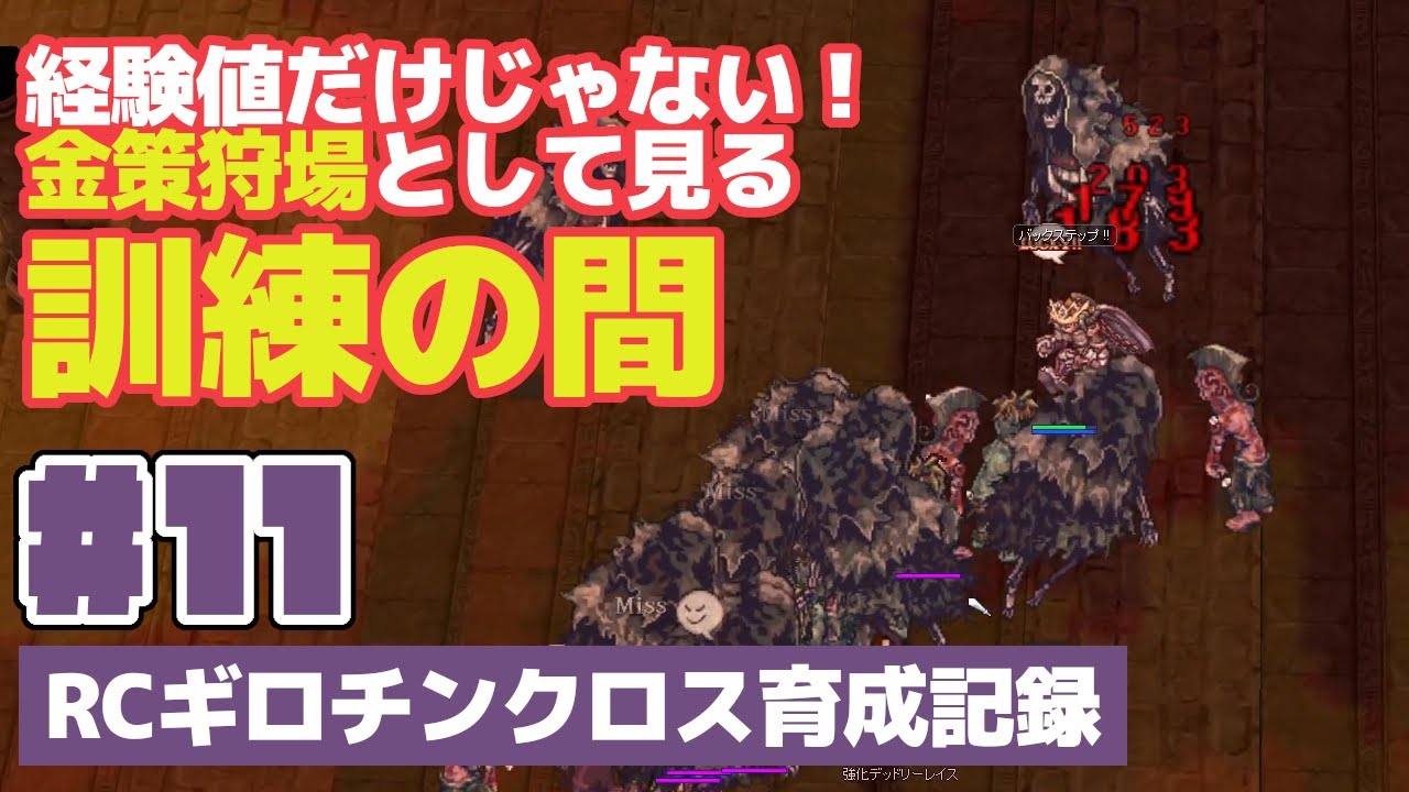 ラグナロクオンライン Rcギロチンクロス育成記録 11 経験値だけじゃない 金策狩場として見る訓練の間 Youtube