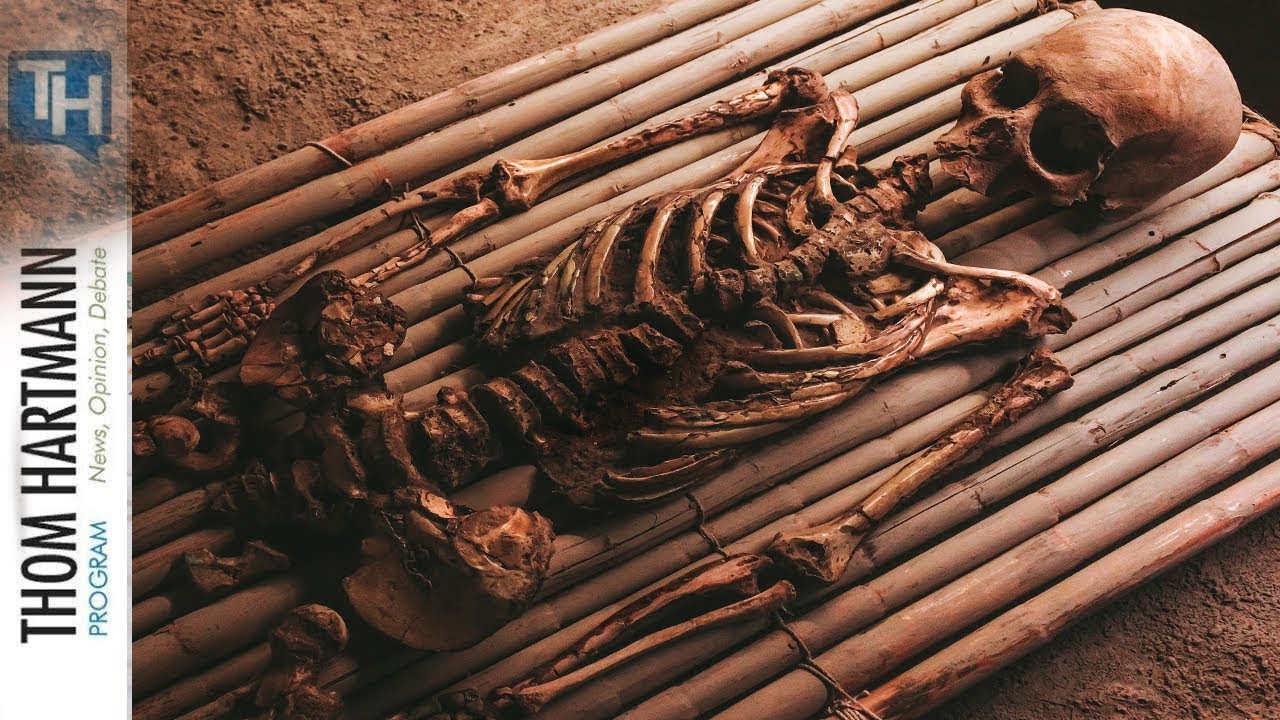 The Extinction Domino Effect That Could Annihilate Life on Earth Has Already Started