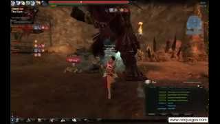 Vindictus - Failed Titan Run