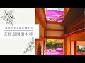 芝桜庭園樹木葬│樹木葬参道の天井鏡に満開の芝桜│奈良県速成寺