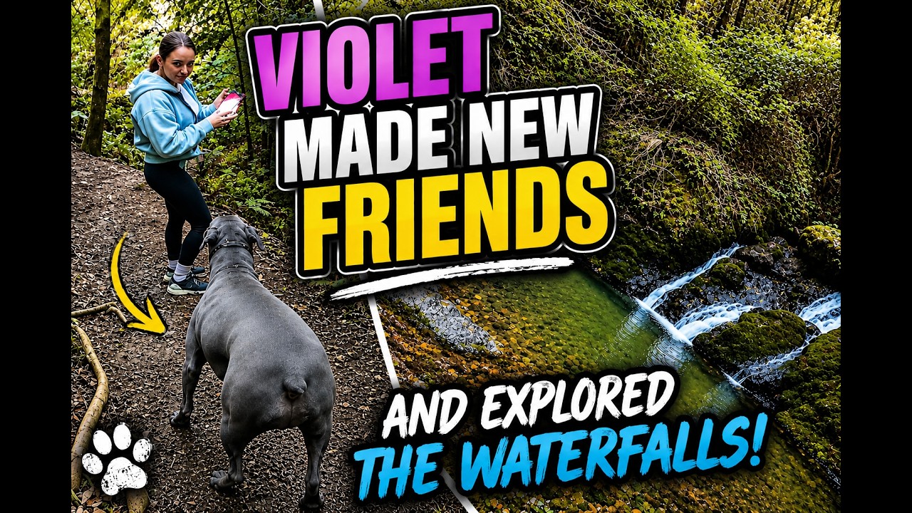 S1E51. Hiked One of California’s Most Beautiful Waterfalls… With a Doberman! 🐕🌲