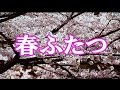 春ふたつ  山本あき  COVER