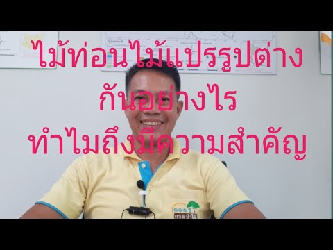 วีดีโอ: ไม้แปรรูปคืออะไร? ประเภทและวัตถุประสงค์