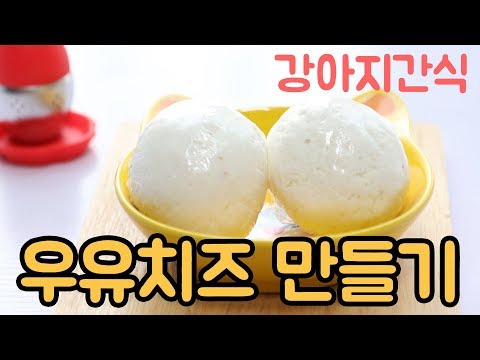 강아지간식 | 강아지우유치즈 만들기 /  강아지치즈만드는법 | Homemade Dog Food Milk Cheese Recipe  | DIY Dog Cheese