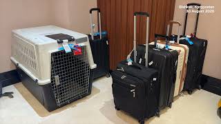 On-Site: Bishkek hotel emptied for arrival of Turkeys President Erdogan for SCO Summit