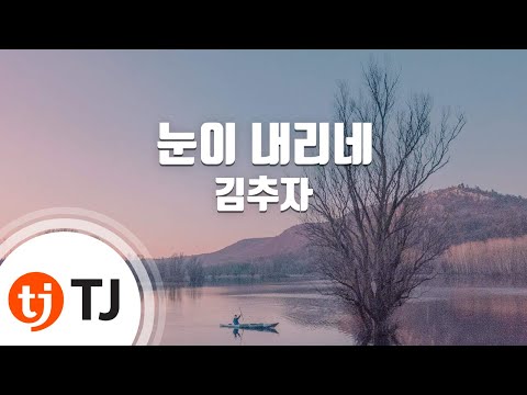 [TJ노래방] 눈이내리네 - 김추자 / TJ Karaoke