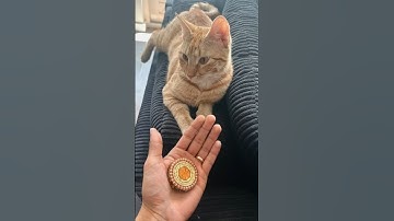 How does Orgonite work explained in 60s #shorts