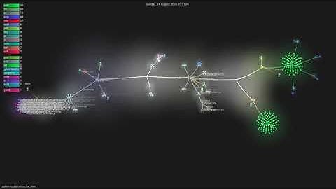 pollen-robotics/reachy_mini - Gource visualisation