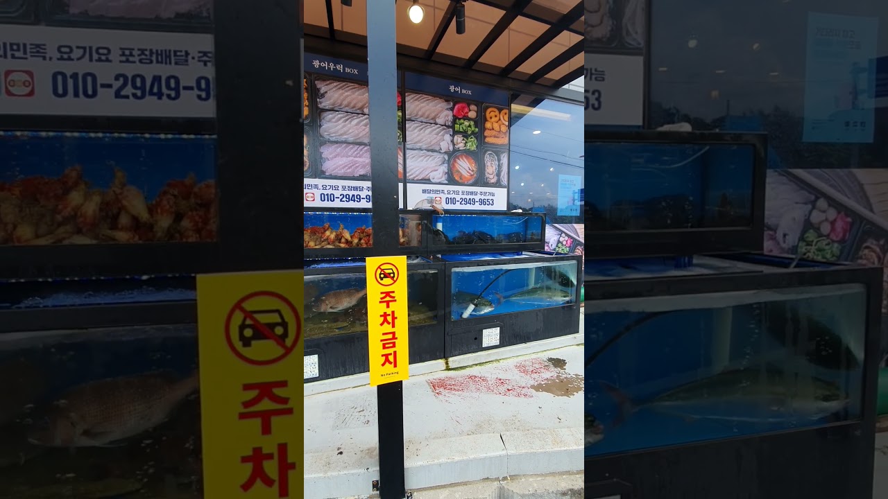 강문해변횟집 경포대맛집 천둥회와물회 천둥수산