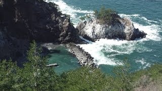 ネダリ浜 海釣り公園 ~ 【岩手 普代村】 ネダリ浜 海釣り公園 ~ 【岩手 普代村】