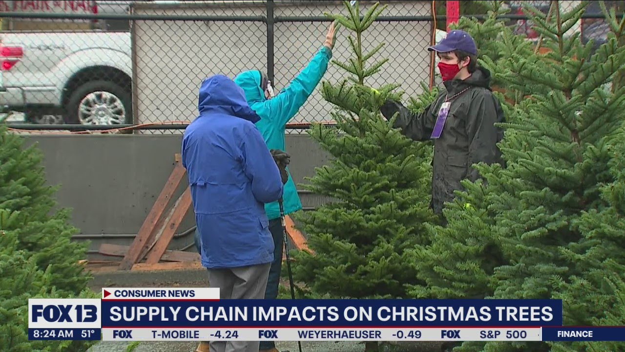 Christmas Tree shortage? Supply chain's impact on real, artificial