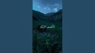 ماهر المعيقلي| اكتب شيء تؤجر عليه ✨ #قران_كريم #قرآن #تلاوة #تلاوة_خاشعة #تلاوة_هادئة #ياسر_الدوسري