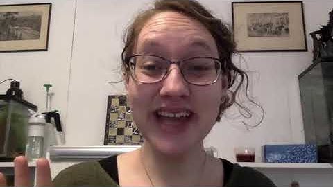 Kindergarten EngageNY Math - Module 6 Lesson 4 Describe the relative position of shapes using