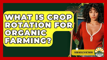 What Is Crop Rotation For Organic Farming? - Farm Wealth Network