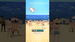 What to do if a tsunami catches you on the beach? 🌊⚡ #short