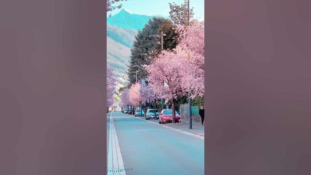 Бернское Нагорье Швейцария