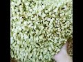 Jasmine Flower 茉莉花