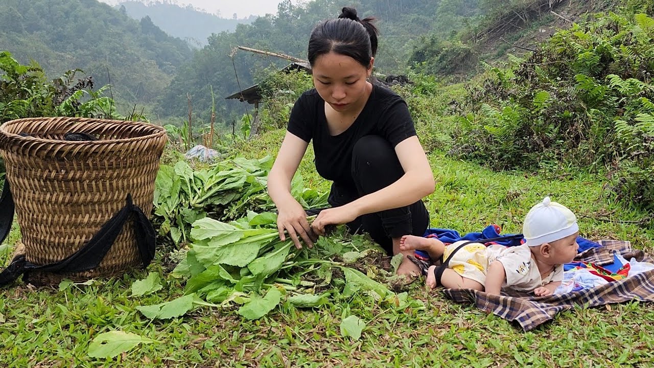 Picking vegetables under the mountain - 16 year old single mother ...