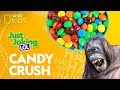 Candy and Gum Humor Questions
